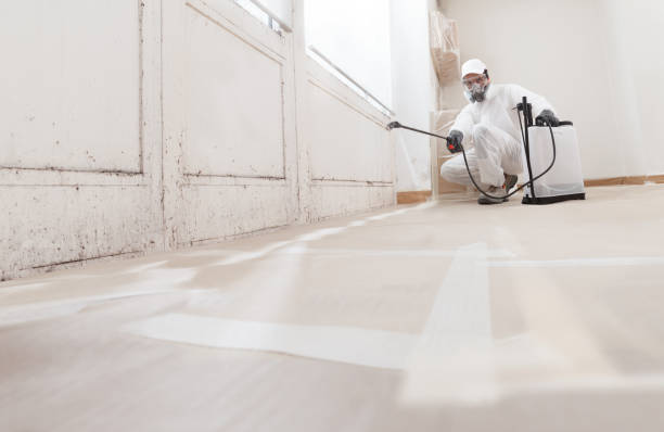 24/7 Emergency Mold Remediation experts in Farmersville, TX