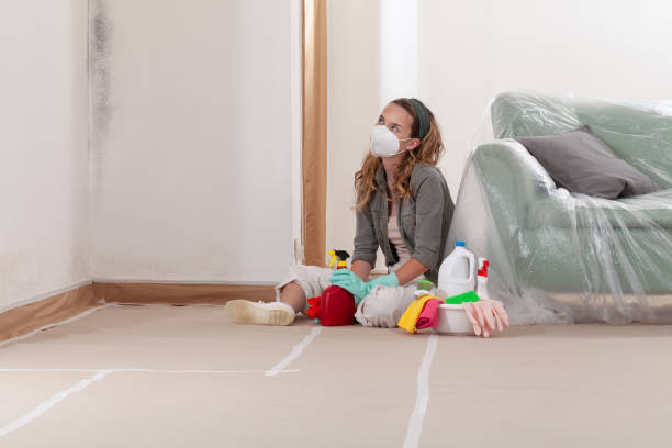 Reliable Mold Remediation contractor in Farmersville, TX by 24 Hour Mold Removal